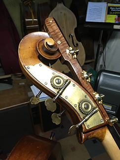 C-extension - Coco-bolob & ebony